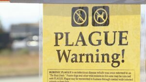 Colorado child dies of plague