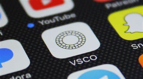 Views Your VSCO Profile
